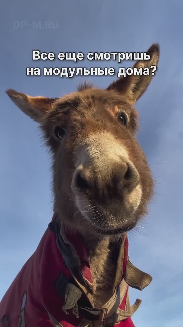 Дом всего за 1 510 000 рублей! смотреть онлайн