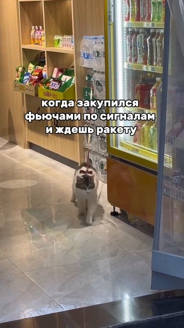 Регистрируйтесь на Бесплатный курс для трейдеров с нуля 💸по ссылке в описании канала смотреть онлайн