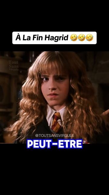 Tu l’avais ?😂#hagrid #harrypotter #hermionegranger #ronweasley #blague #drole #humour #humournoir смотреть онлайн