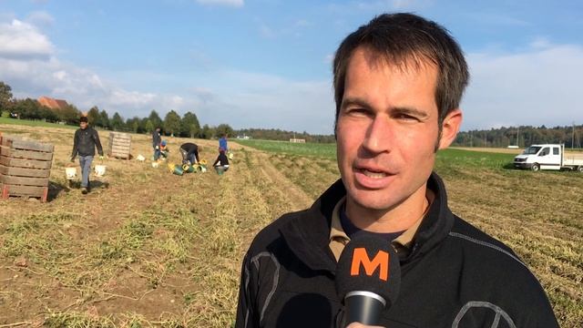 Schweizer Süsskartoffeln смотреть онлайн