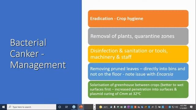 Tomato Canker—risk Mitigation Strategies