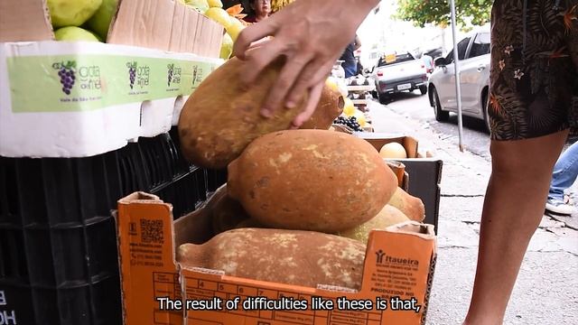 Cupulate And The Original Amazon Flavor