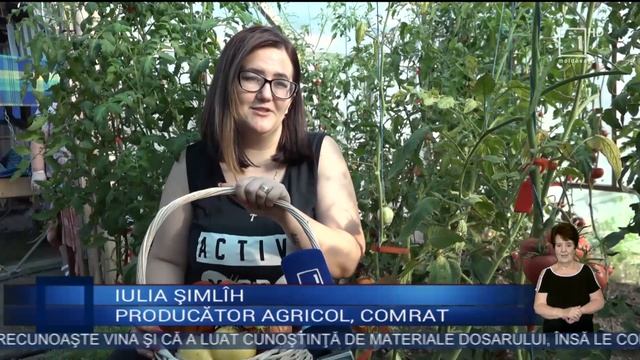 Raiul tomatelor e la Comrat. O familie a dezvoltat o afacere profitabilă cu roşii смотреть онлайн