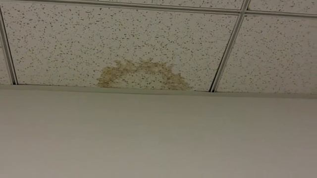 Checking for leaks in a server room смотреть онлайн