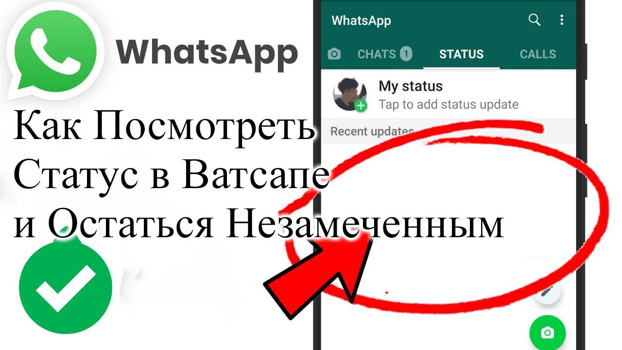Как Посмотреть Статус в Ватсапе и Остаться Незамеченным whatsapp смотреть онлайн