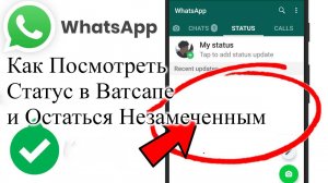 Как Посмотреть Статус в Ватсапе и Остаться Незамеченным whatsapp