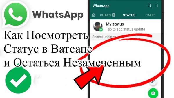 Как Посмотреть Статус в Ватсапе и Остаться Незамеченным whatsapp