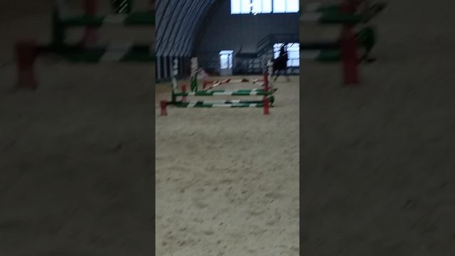 переполох в мане́же