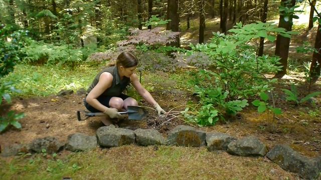 Transplanting & Maintaining Garden Perennials : How Do I Plant & Divide Peonies? смотреть онлайн