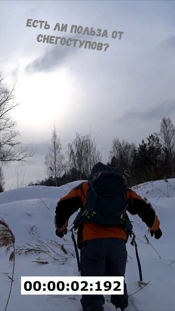 Эффективность снегоступов: сравнение. Есть ли польза от снегоступов?