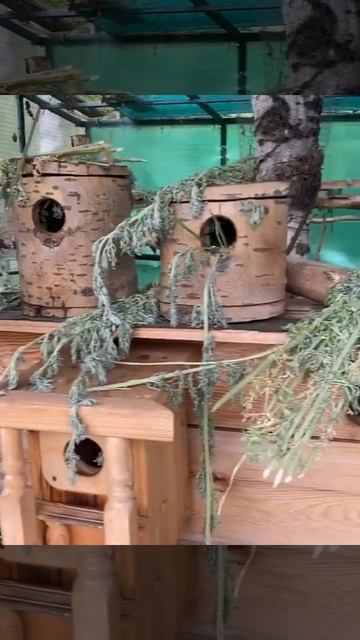 Мой рыжик - Салават Фатхетдинов смотреть онлайн
