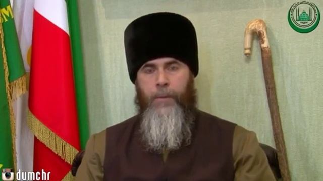 17582778 1672738603030369 2685651554224046080 n смотреть онлайн