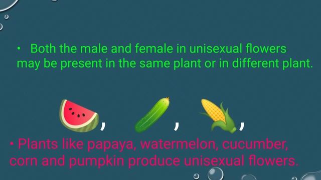 unisexual and Bisexual Flowers || unisexual flowers and bisexual flowers examples || Its Study time смотреть онлайн