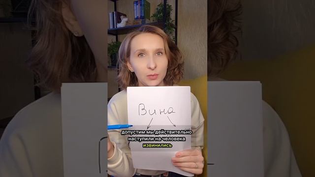 Вина.  Что же это такое?!