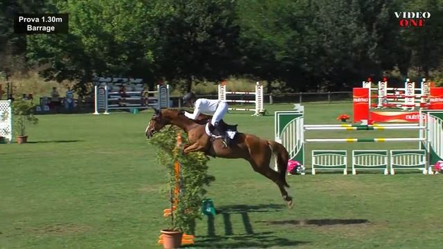Barrage Antonio Matos ALMEIDA & QUELLEVICTOIRE DU FAY Pequeno Grande Prémio 1.35m 1º Luga смотреть онлайн