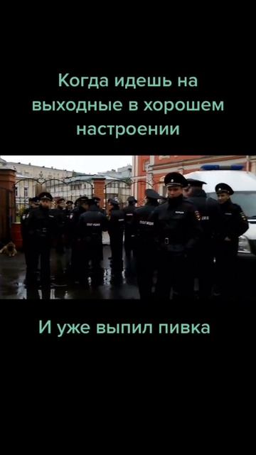 поставил по стойке смирно смотреть онлайн