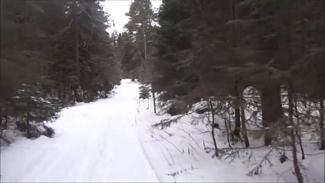 Моё отношение к КУ- КУ- шке... смотреть онлайн