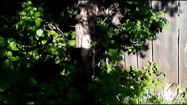 Просто коп и просмотр растишак табака смотреть онлайн