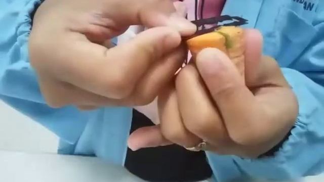 Prosedur Membuat Preparat Segar Litosis dan Sistolit pada Daun Ficus elastica смотреть онлайн