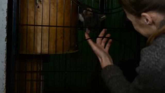 игры с куном