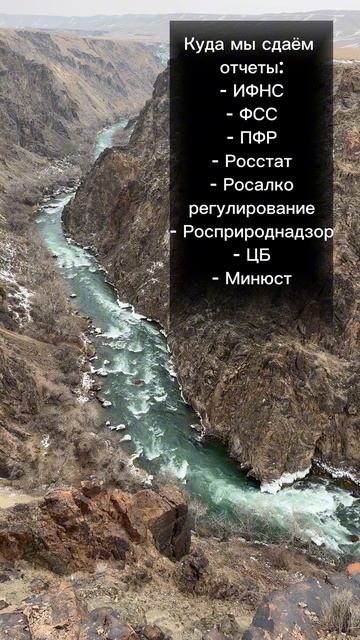 Отчетность