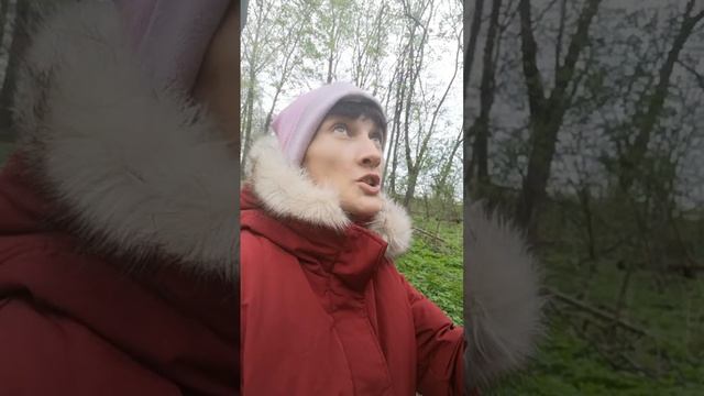Собираю сныть смотреть онлайн