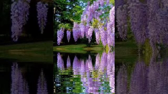 Галина Кушнир. Для моих друзей смотреть онлайн