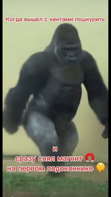 Сходство 100% смотреть онлайн