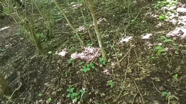 АласТВ. Маштак. Родник. Ирзе. смотреть онлайн