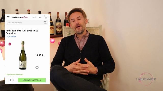 La Selezione del Sommelier: 10 VINI da ACQUISTARE ONLINE novembre 2020 смотреть онлайн