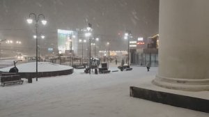 Февральский снег. Прогулка | © 2025