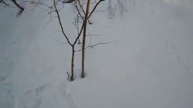 Пикник на обочине.Зимний выезд.Последний день зимы. смотреть онлайн