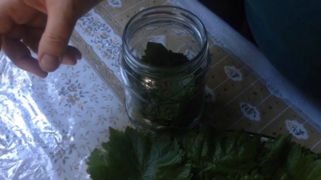Uzum Yarpaginin Qisa Hazirlanmasi 2 Usul Qisa Hazirliq.Заготовка виноградные листья