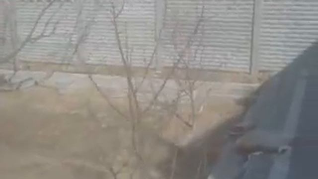 липовая, 38 смотреть онлайн