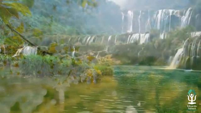 Evangelho do Dia - Lucas 1,39-56 - A minha alma engrandece o Senhor смотреть онлайн