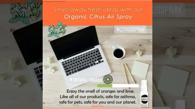 💥Smell away fresh ideas with our Organic Citrus Air Spray💥👉 Order Now - igboh.com смотреть онлайн