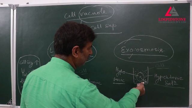 Osmosis ( Topic for Neet & Aiims 2019) смотреть онлайн