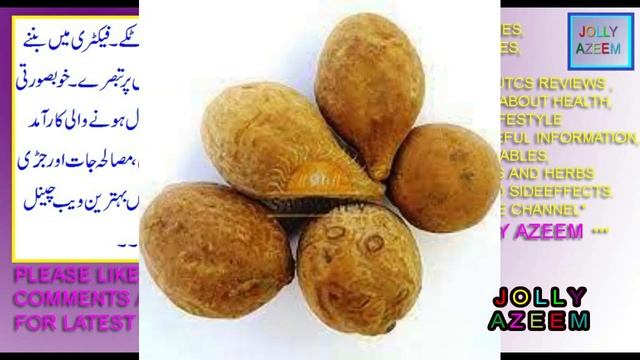 behda/bahera/bibhitaki/balela kay fawaid aor nuqsan | terminalia bellirica benefits and sideeffects смотреть онлайн