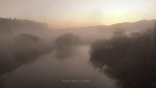 Красивая Фоновая Музыка Голос Души - Музыка на Флейте для Релаксации и Сна