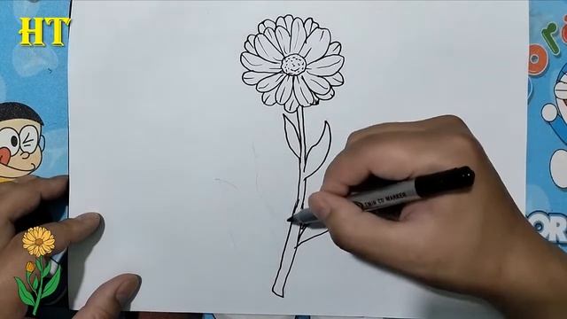 Calendula Flower Drawing Easy Step By Step