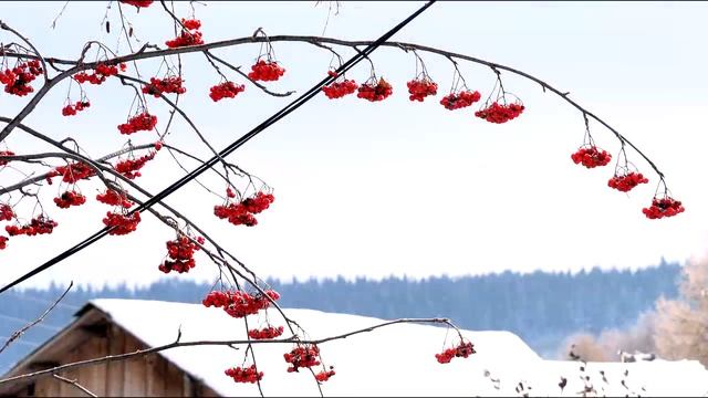 Как красив наш Вятский край. смотреть онлайн