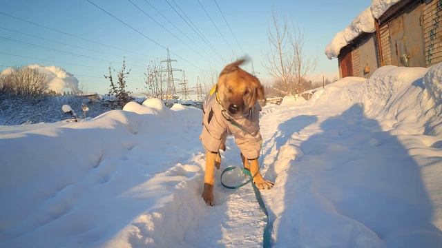 Платон 03.01.24 смотреть онлайн