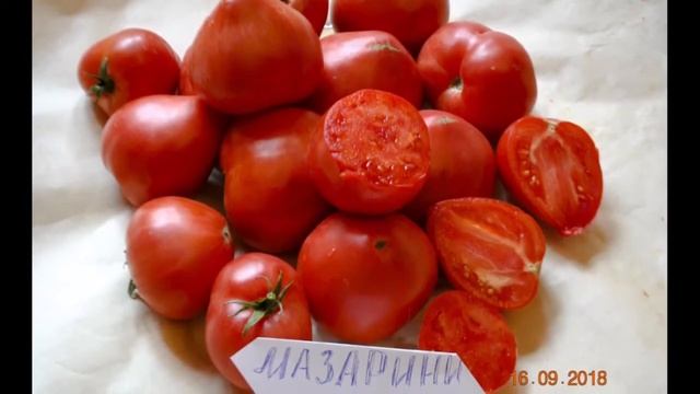 Щедрость лета 2018 смотреть онлайн