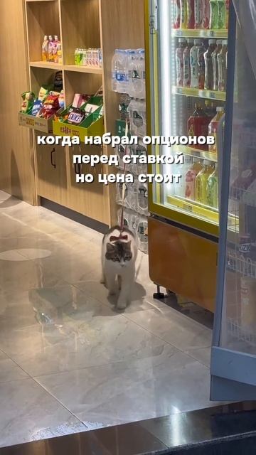 Регистрируйтесь на Бесплатный курс для трейдеров с нуля 💸по ссылке в описании канала смотреть онлайн