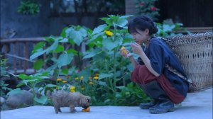 Ешьте плотно гороховое желе, чтобы охладиться на протяжении всего лета.