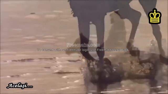 Allah Allah Ya Baba   Tunisian Song