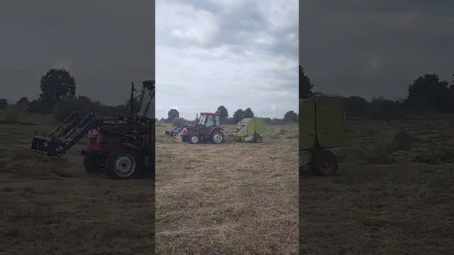 Сенокос 14.09.2021 СЕНО ЛИДЕР 1 от Производителя смотреть онлайн