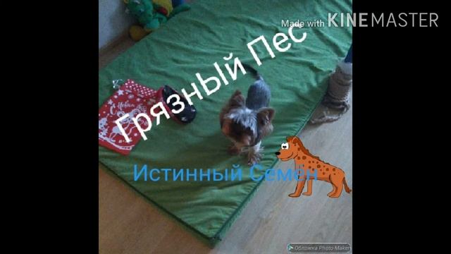 Я СЪЕЛ САЛО смотреть онлайн