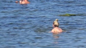 Анапа_ Дикий пляж