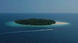 Необитаемый остров